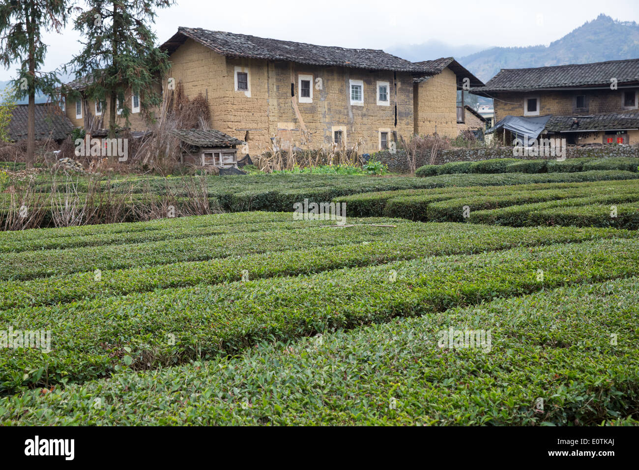 traditionelle Hakka Lehmhäuser in der chinesischen Provinz Fujian. als UNESCO-Weltkulturerbe eingestuft. Stockfoto