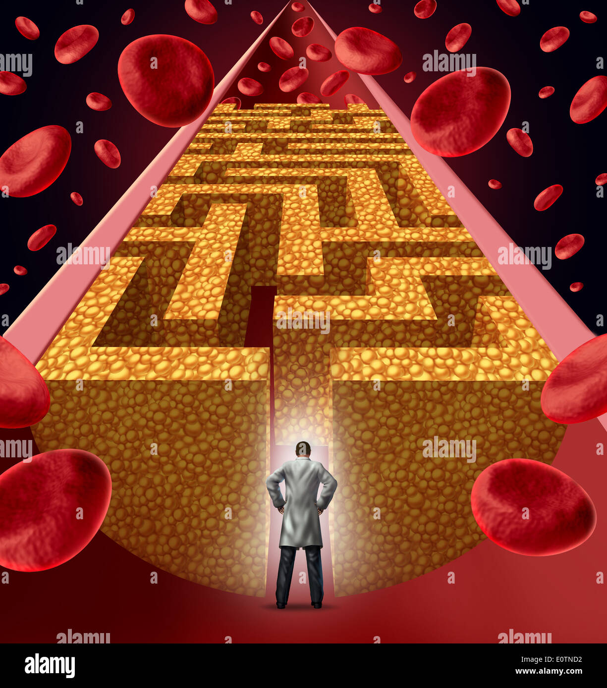 Cholesterin-Behandlung von einem Herzen Chirurg Arzt mit Blick auf eine verstopfte Arterie und Atherosklerose medizinische Krankheitskonzept mit drei dimensionale menschliche Arterie mit Blut Zellen, die von Plaque-Bildung von Cholesterin blockiert ist geformt wie ein Labyrinth als Symbol des Vas Stockfoto