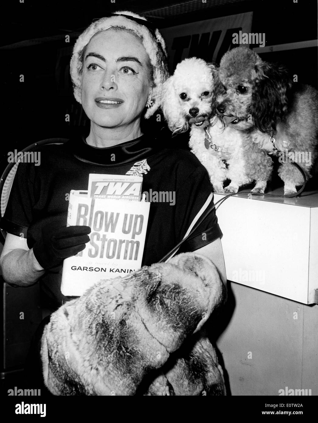 Schauspielerin Joan Crawford mit zwei Hunden unterwegs Stockfoto