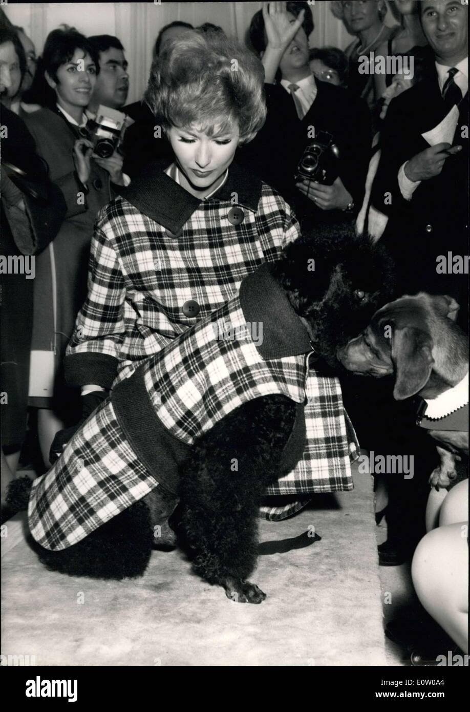 13. Oktober 1960 - Hundes Moden: A Hunde Fashion Show, die in einem Modegeschäft in der Faubourg Saint - Honore, Paris, heute statt. Bild zeigt: Mannequins Pre-Enting Hunde Modellierung Mäntel. Stockfoto