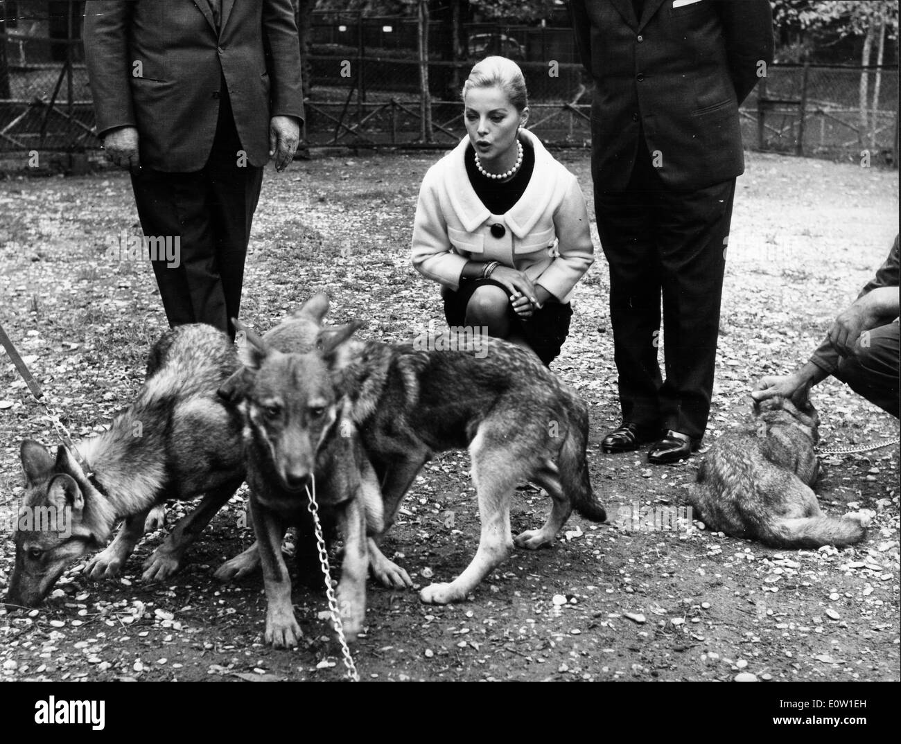 Schauspielerin Virna Lisi bei Wolf Taufe Stockfoto