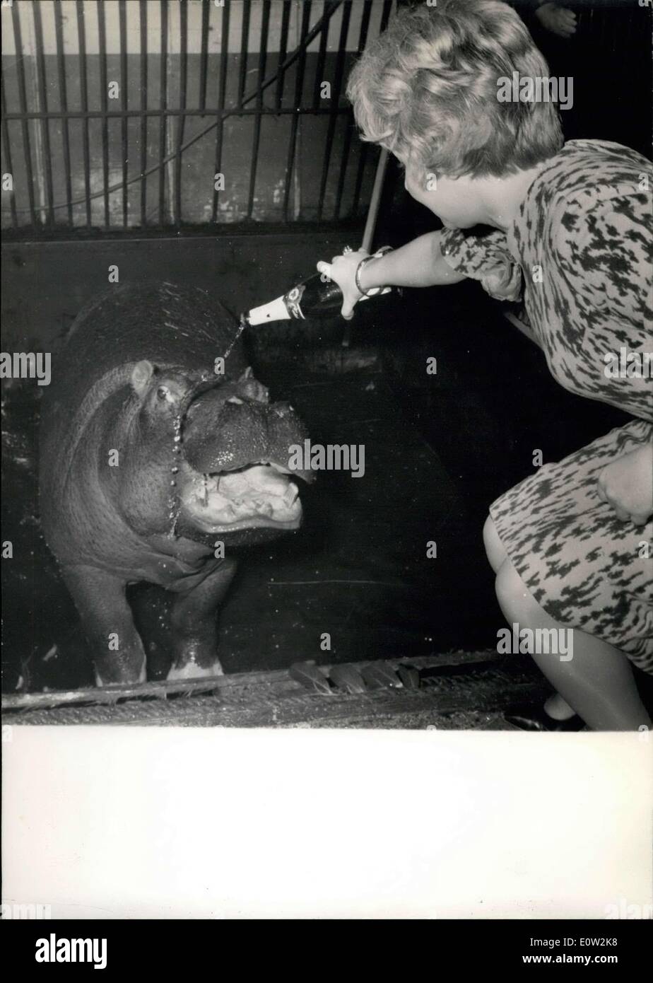 23. Dezember 1960 - tauft Nilpferd Sponsor, Paola, ihr Hippo in Champagner ESS. Stockfoto