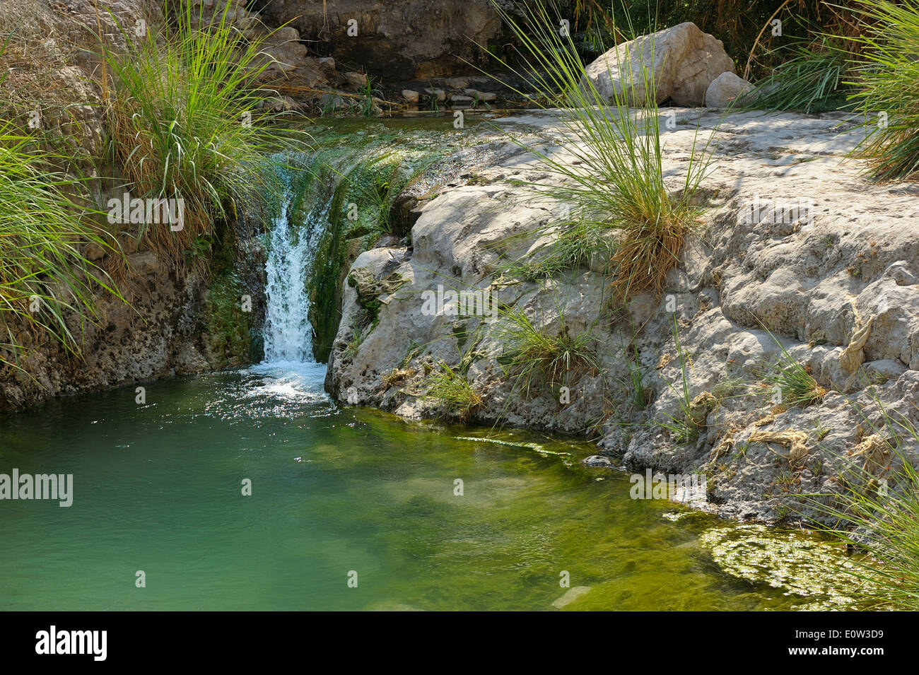 Ein Gedi Naturreservat vor der Küste des Toten Meeres. Stockfoto