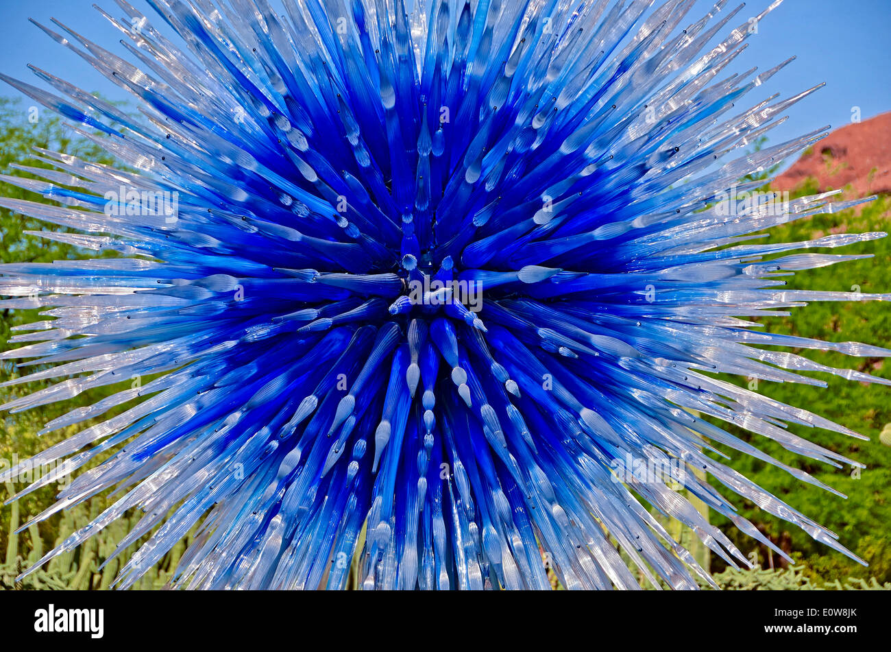 Der legendäre Glaskünstler Dale Chihuly stellte seine Arbeit in The Desert Botanical Gardens in Phoenix, Arizona, USA im Jahr 2014. Stockfoto