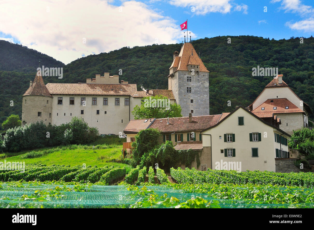 Château d' Aigle oder Schloss Aigle und Weinberge, Aigle, Kanton Waadt, Schweiz Stockfoto