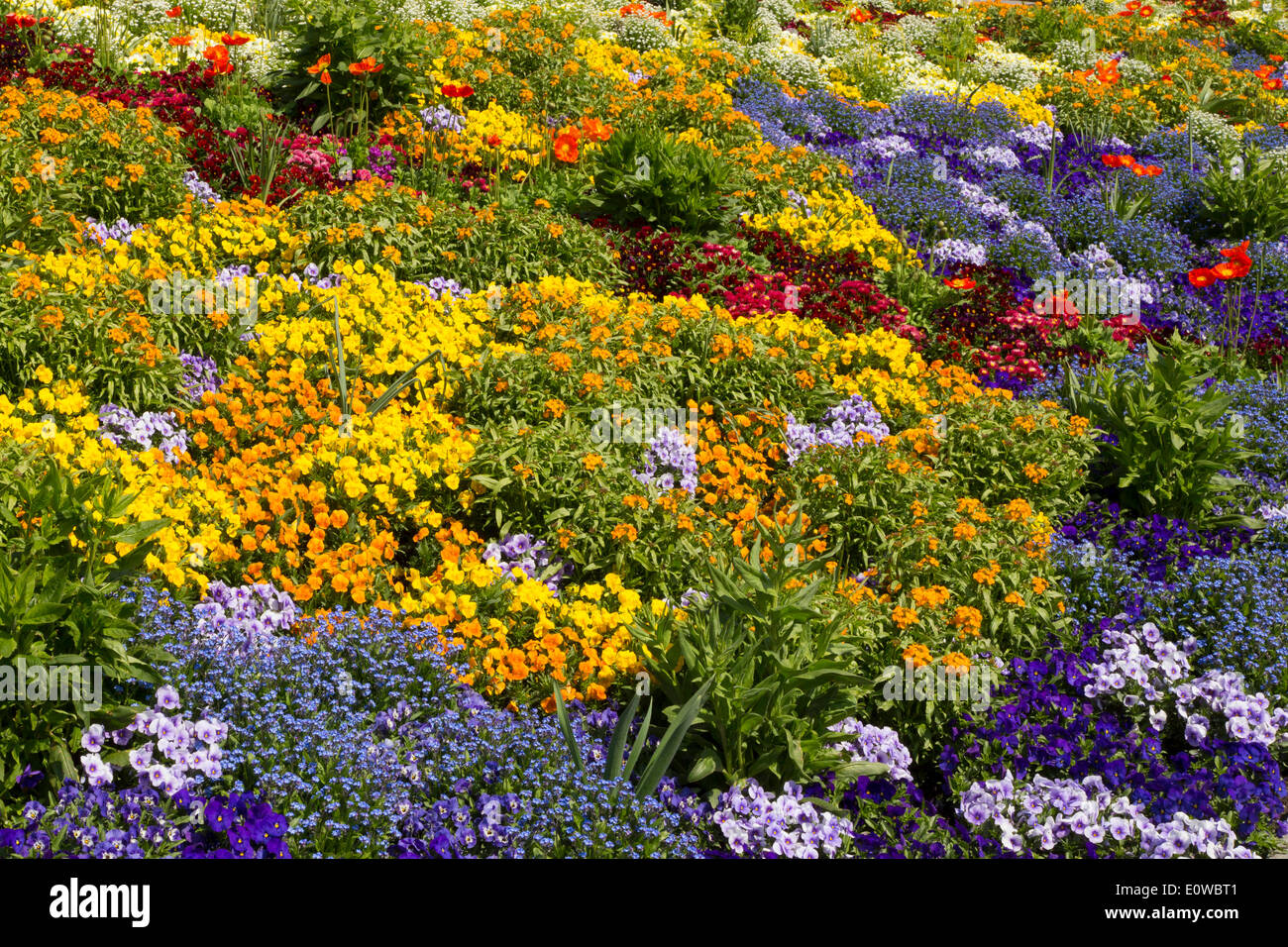 Bunte Blumen, Insel Mainau, Swabia, Baden-Württemberg, Deutschland Stockfoto
