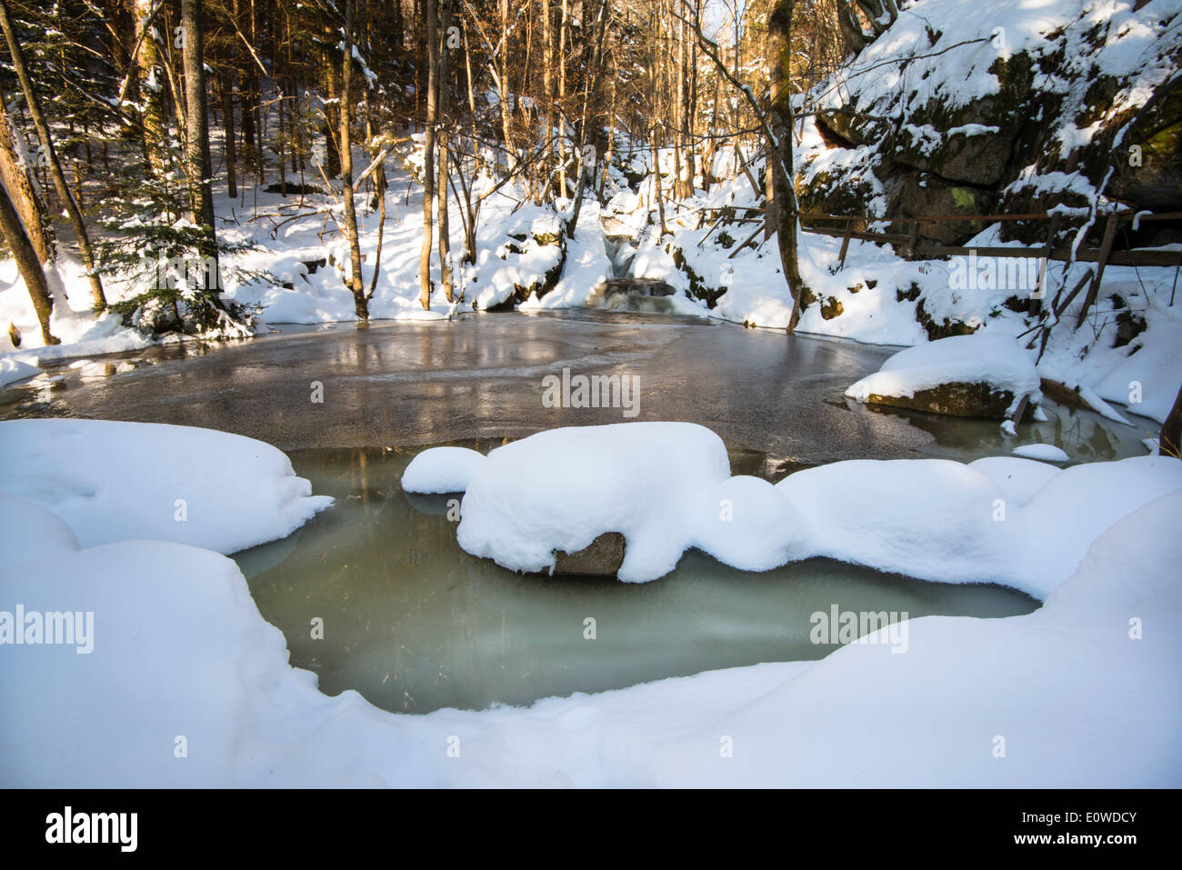 Winter im Waldviertel, Ysperklamm Schlucht oder Wald Viertel, Niederösterreich, Österreich Stockfoto