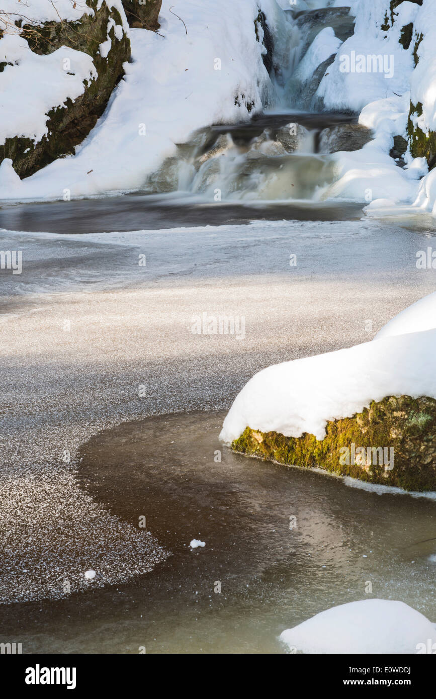 Winter im Waldviertel, Ysperklamm Schlucht oder Wald Viertel, Niederösterreich, Österreich Stockfoto