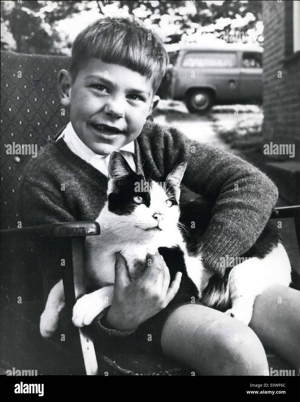 11. Oktober 1962 - Katze geht 150 Meilen nach Hause: Twinky, was der Kater war nicht beeindruckt von seinen Besitzern Entscheidung von Haywards Heath, Sussex, für Rauceby, in der Nähe von Slkleaford, Lincs. So kurz nach der Ankunft in seinem neuen Zuhause und engagieren sich in einem Kampf mit einer anderen Katze, ging Twinky die 150 Meilen zurück in seine alte Heimat. Nächsten Nachbarn des Hauses wo Mr und Mrs Eric Godden lebten erkannte ihn als er ankam - und Twinky werden bald wiederkommen, Lincolnshire - mit dem Auto. Th Heimreise dauerte drei Monate Stockfoto