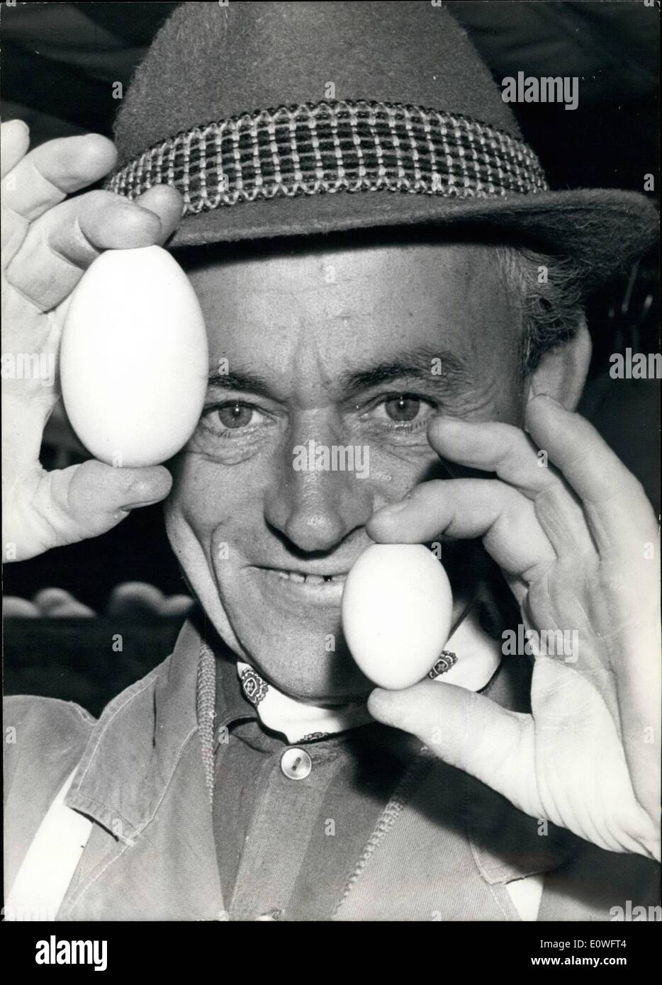 11. November 1962 - Gänse-Eiern? fragte die misstrauische Einwohner von Bonn, wenn Ei abnormal große Größe zu ihnen auf dem Markt angeboten wurden. Aber der Händler die Garantie geben könnte, dass diesen Eiern von Hühnern und nicht durch Gänse, hergestellt werden- aber dieser Größe Hühner Ei sind selten. Wer will so ein Ei weich gekocht, Essen hat diese Dinge nicht nur 5 Minuten gekocht, wie üblich, aber 8 Minuten. Unser Bild zeigt den Unterschied zwischen den Größen: von links nach rechts - Riesenei, Trader, der eine junge Henne Ei. Stockfoto
