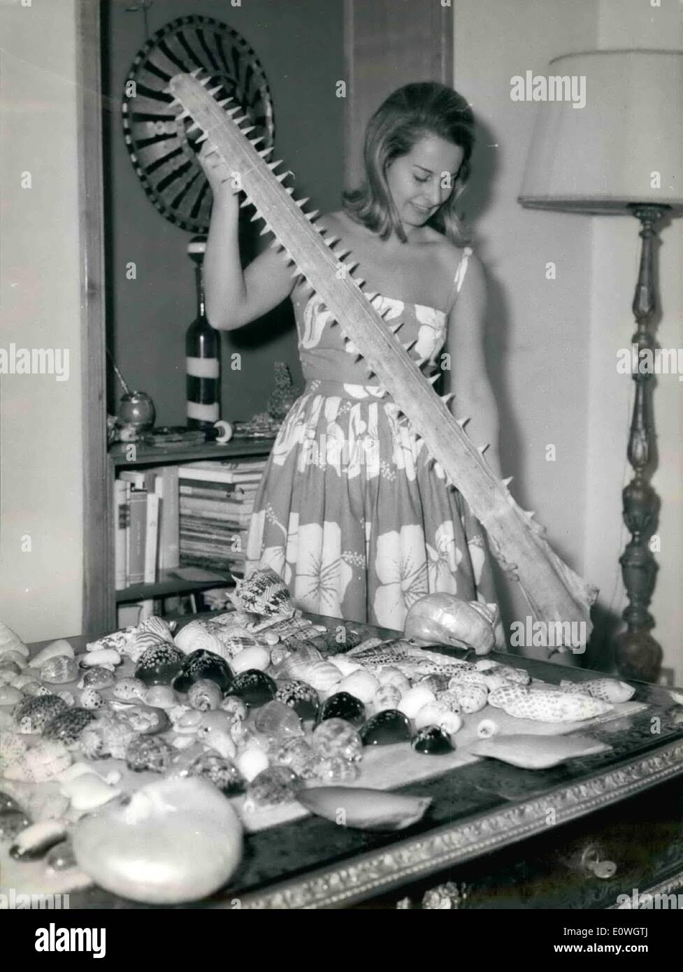 12. Dezember 1962 - hat Mrs Lombardo Frau des Besitzers des Titans, eines der größten italienischen Filmproduktion eine '' Hobby''; das Unterwasser Fischen. Wenn ihr wichtige '' Mann '' ist frei von der zahlreichen Engagement verlassen sie für die Res-Meer-Küste oder jede andere Welt Küsten, wo die Fischerei ein gutes ist und reichlich, und erholen Sie sich unter der schönen Sonne jener Länder. Frau Lombardo machte eine Sammlung der interessantesten Muscheln noch nie gesehen und legte sie auf einen Tisch in ihrem schönen Haus in Rom Frau Stockfoto