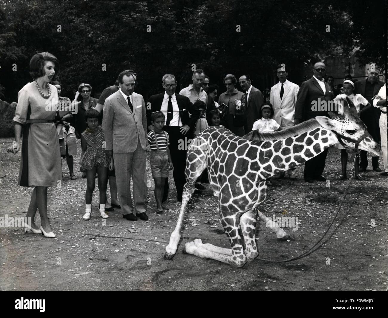 Sept. 09, 1963 - koscher Silva die italienischen Bäumen kehrte nach Rom aus Paris zurück, wo sie in einer Italien-französische Produktion erschien, war Gott-Mutter, heute Morgen eine Neugeborene Giraffe, deren Name Bella ist ''. Die Zeremonie wurde durch die zahlreichen Kinder, die von ihren Angehörigen begleitet, besuchten den Zoo genossen. Stockfoto