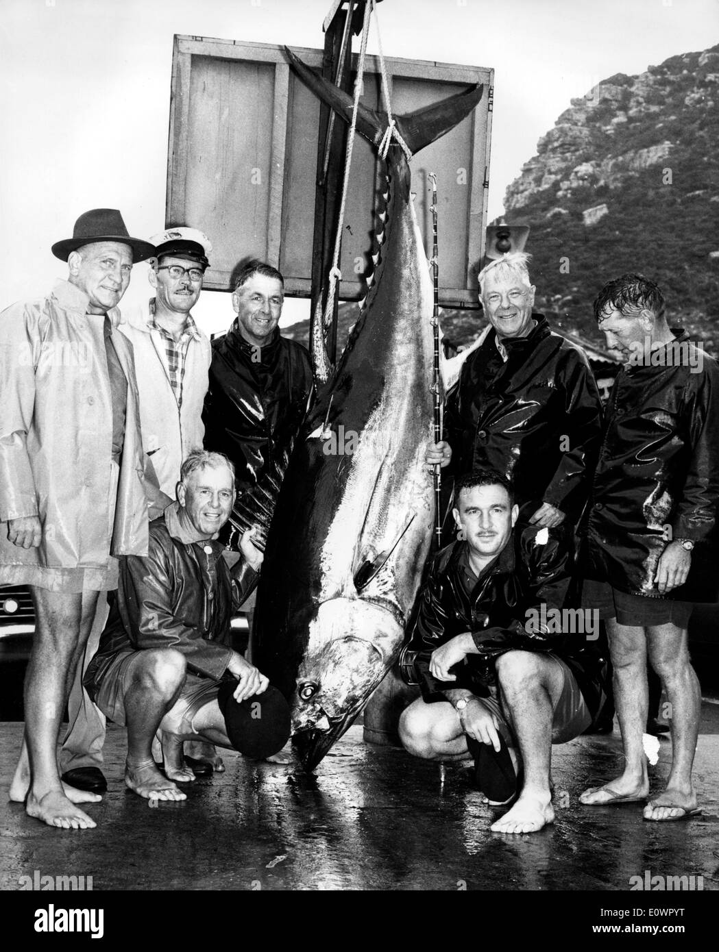 Hendrik Verwoerd und Freunde mit einem riesigen Thunfisch gefangen er Stockfoto