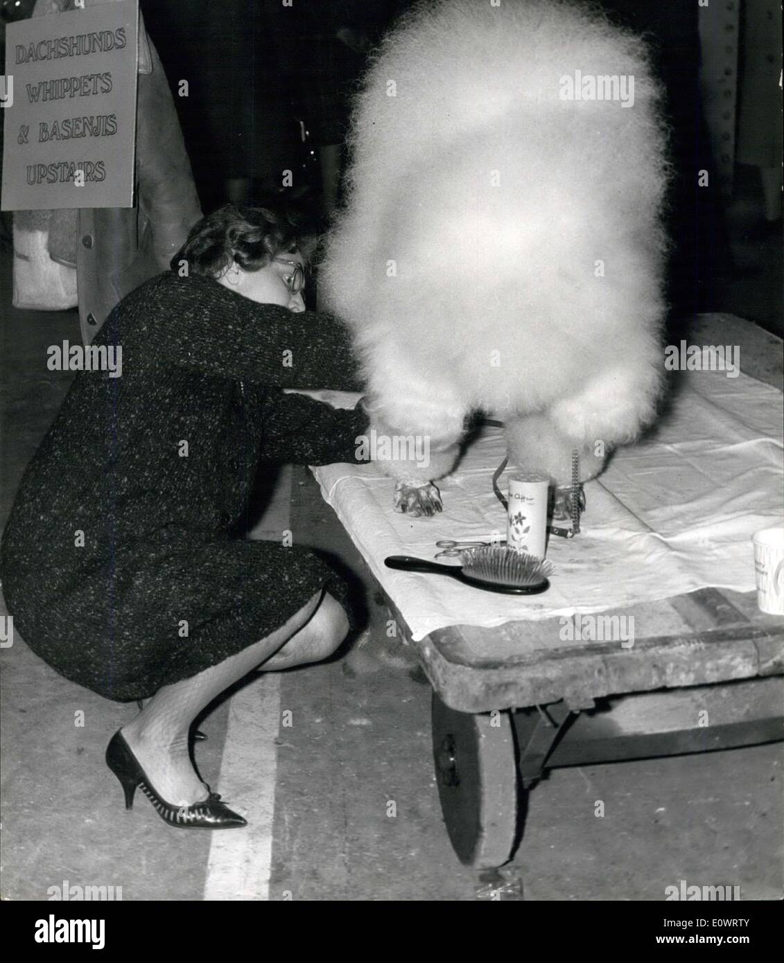 7. Februar 1964 - Einführung '' schneidige weiß SGT'' - komplett mit seinem "Busby"... Cruft - die weltweit größte Hundeausstellung war Stockfoto