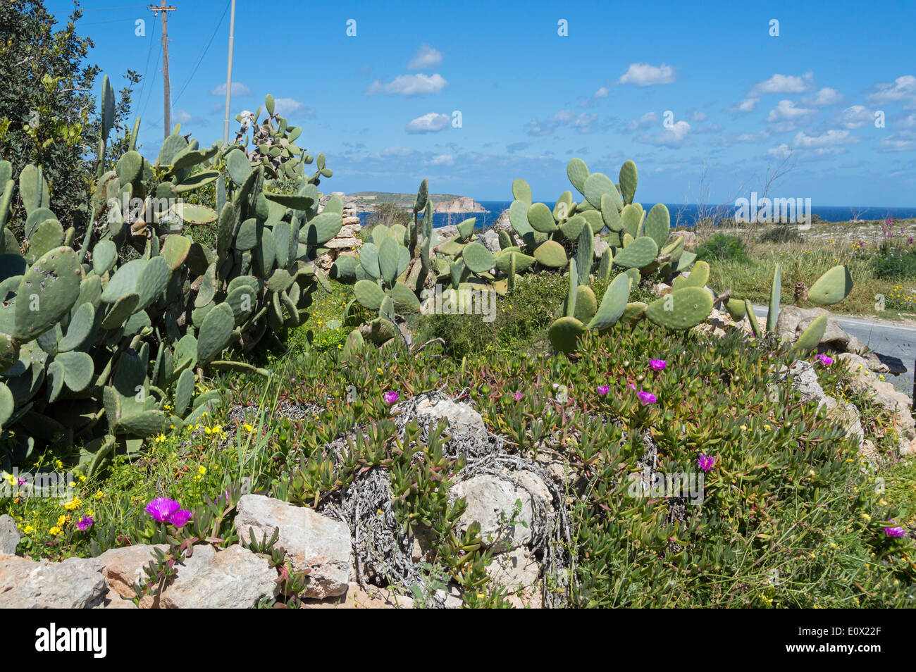 Auf der Suche nach Mellieha Bay und Gozo von Marfa Ridge, Mellieha, Malta, Europa. Stockfoto