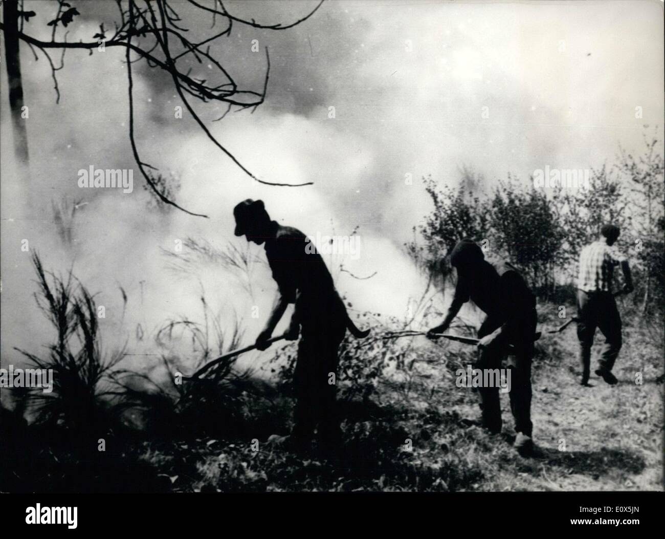 5. Mai 1965 Waldbrände riesige im Kanton Tessin, Schweiz. Das