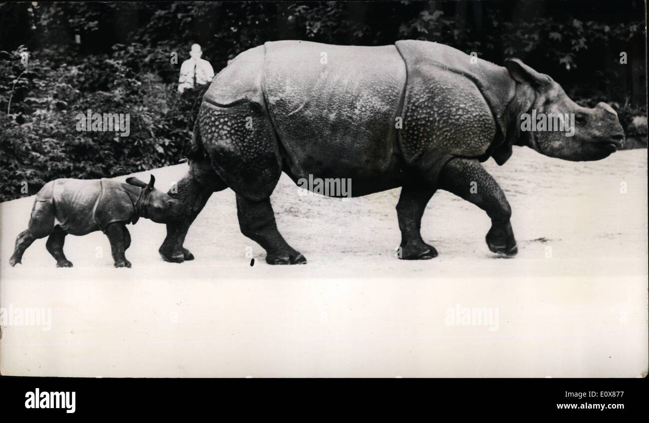 Sept. 09, 1965 - der weltweit kleinste Rhino?; Moola, das Nashorn Mutter stolz Struits Runde Zoo Basel, gefolgt von ihrem Baby - vor kurzem geboren, im Zoo und die kleinste jemals dort geboren. 69 Kilo, ist das Baby vermutlich die kleinste der Welt. Es ist das sechste Nashorn im Zoo von Basel geboren werden. Stockfoto