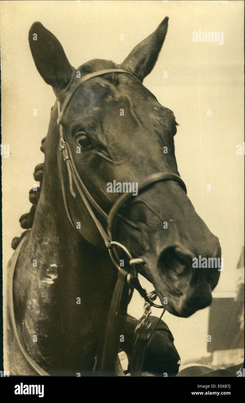 Sept. 09, 1965 - Arc De Triomphe Lieblings: Foto zeigt das französische Pferd Vertrauen, einer der großen Favoriten der Prix De l ' Arc De Triomphe, die berühmten frühen Herbst Rennveranstaltung. Stockfoto