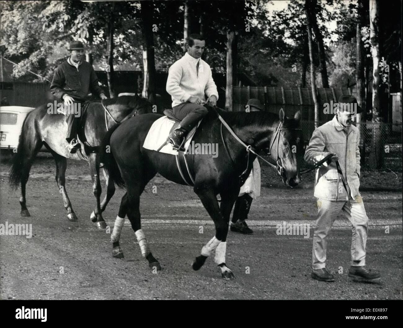 Sept. 09, 1965 - American In Arc De Triomphe Pferderennen: Tom Rolfe, An American Horse, gehört zu dem Pferd im Wettbewerb mit dem Arc De Triomphe, der große Herbst racing Event am kommenden Sonntag in Verbindung mit einem Gewinnspiel. Foto zeigt: Tom Rolfe abgebildet bei Longchamp heute Morgen. Der Jockey Reiten ist Schuster. Hinter dem Trainer Frank Whiteley. Stockfoto