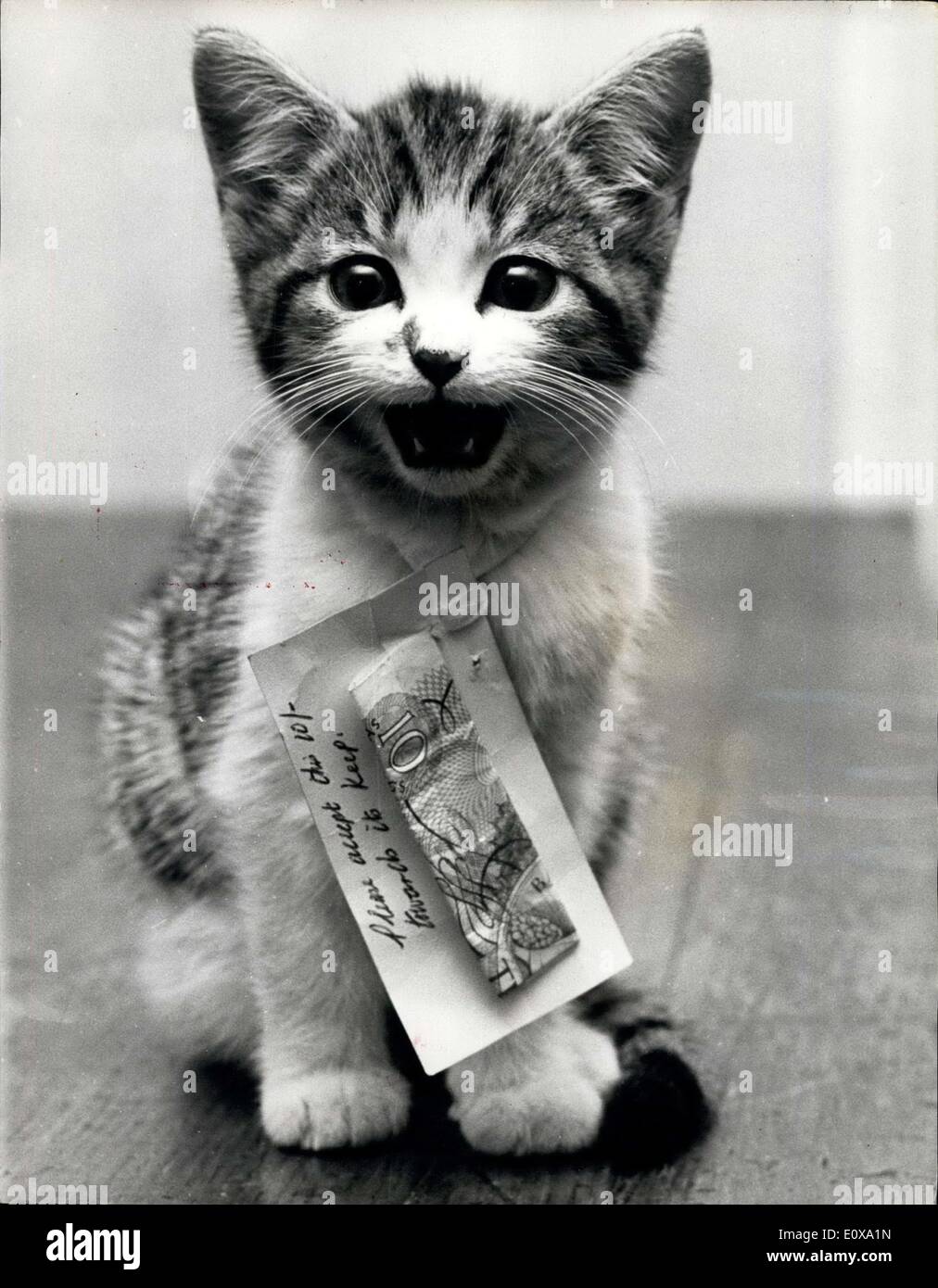 17. Dezember 1965 - Kätzchen im Briefkasten gefunden. Ein kleines Tabby Kätzchen fand gestern kleinlaut sitzt unter einem Haufen von e-Mails in einen Briefkasten. Das Kätzchen hatte durch den Brief-Schlitz Hauptquartier der Canine Defence League in London zusammengedrückt worden. Um das Kätzchen Hals war ein Etikett mit einem 10 s. Hinweis angebracht, sagte die Nachricht auf dem Etikett: "Bitte finden Sie dieses Kätzchen ein gutes Zuhause für Weihnachten? Wir dürfen nicht in meine Faust zu halten. Gott segne dich Canine Defence. Und neben dem Geld wurde geschrieben: '' Bitte akzeptieren Sie diese 10 / - gegenüber dem Bergfried Stockfoto
