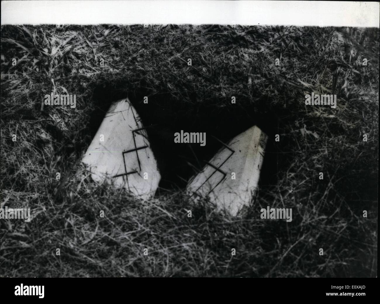 11. November 1965 - Viet Cong mit Mann Trars. Der Krieg in Vietnam hat einen neuen Namen in die Liste der Waffe hinzugefügt. die Punji Falle. Am Anfang war die Viet Cong Sprengfalle einfach ein Loch in den Boden, etwa die Größe eines Mannes Fuß, mit ein paar scharfen Bambusstangen. Wegen dieser fallen wurden US-Truppen eine neue Art von Stiefeln, ausgegeben, die die Einsätze nicht durchdringen konnte. Die neuen Punji fallen nun zweistufig Opfer in die Falle, die der Draht schnappt und Zeilen des Eisernen Stacheln Pierce sein Bein über den Kofferraum zu verbergen und geben Sie seine Beinmuskulatur von zwei Seiten. Das Foto zeigt die Punji Falle nach entsprungen sein. Stockfoto