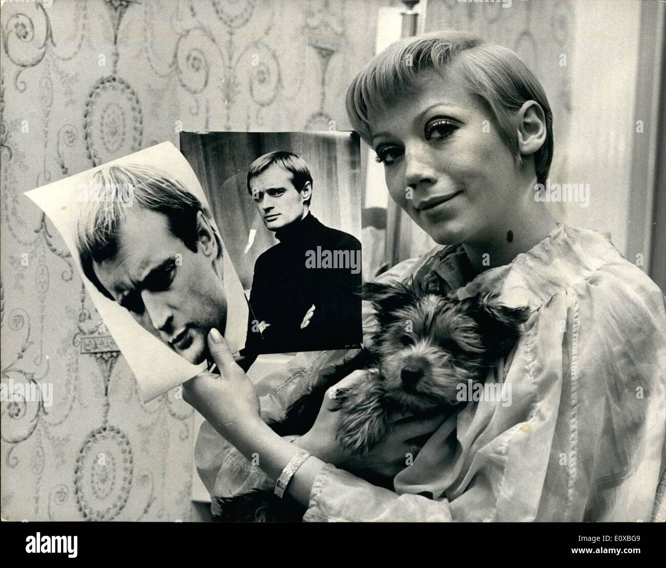 3. März 1966 - David McCallum Fans verabschieden seine Frisur - A Gruppe von Mädchen Fans von David McCallum (Illya Kuryakin - The man from U.N.C.L.E - Vormittag ging entlang ALEXE Mayfair Friseursalon, um ihre Haare in die gleiche Weise wie seine gestylt haben. Keystone-Fotoshows: Sue Burgess, 22, aus Wallasey, Cheshire, gesehen mit ihrem Haustier Hund '' Ethel'', nach Ahe hatte ihre Haare gestylt von ALEXE heute Morgen. Sie hält zwei Bilder von David McCallum. H/Keystone Stockfoto