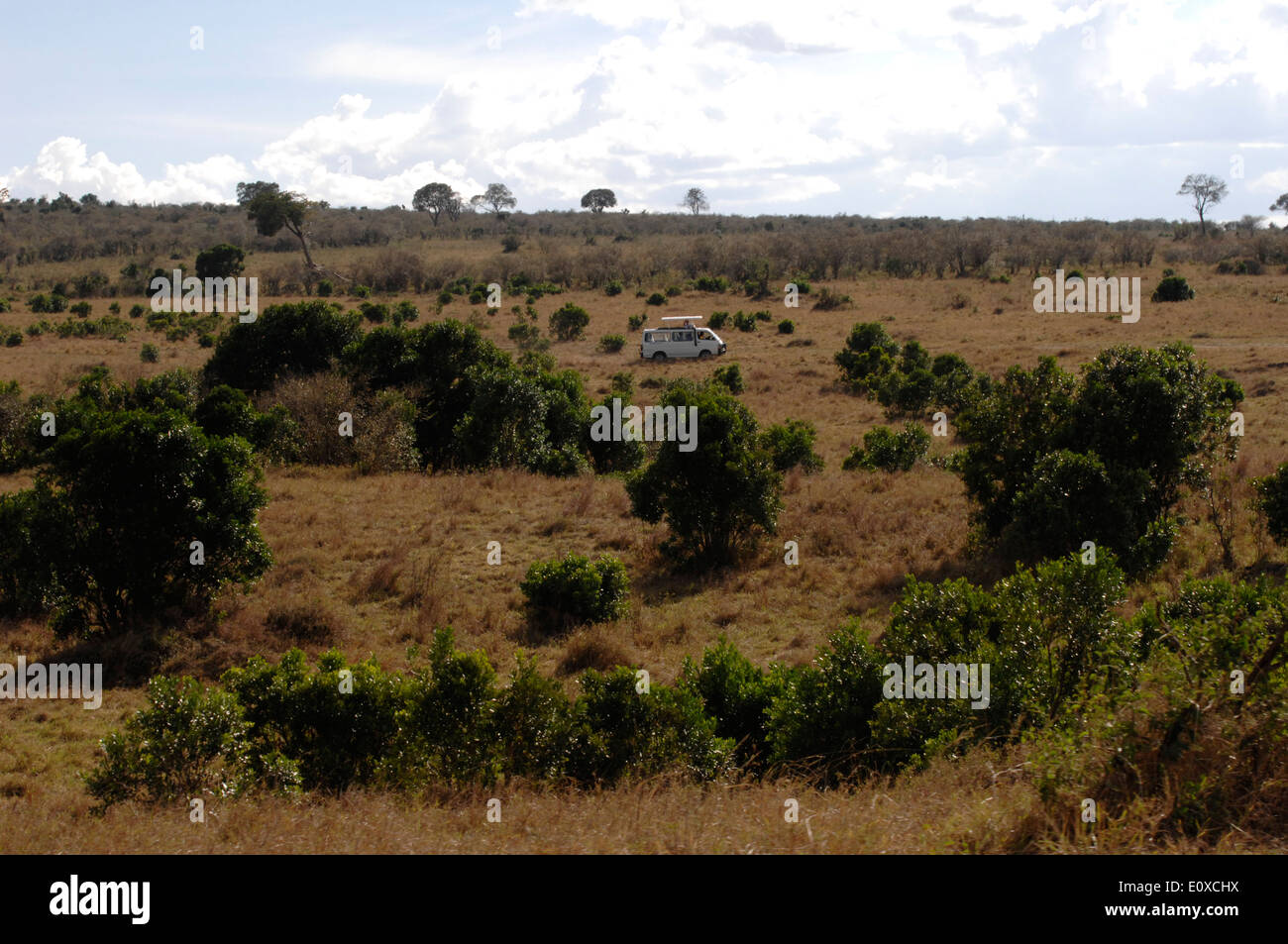 Safaribus auf die Masai Mara Kenia Afrika Stockfoto