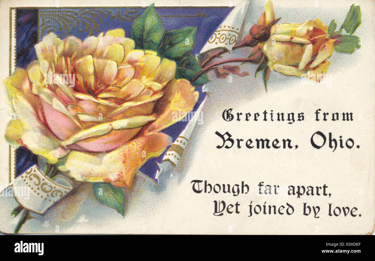 Eine Vintage-Postkarte aus Bremen, Ohio, mit leuchtenden Blumen, einschließlich Rosen. Es ist Teil der Bowden Postcard Collection und fängt das Wesen der lokalen Blumenschönheit von Ohio ein. Stockfoto