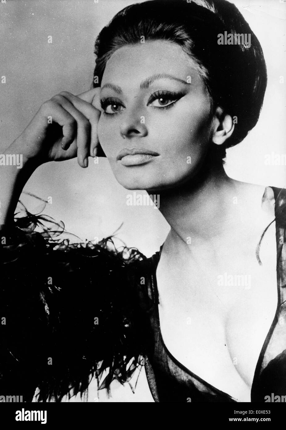 Porträt der Schauspielerin Sophia Loren Stockfoto