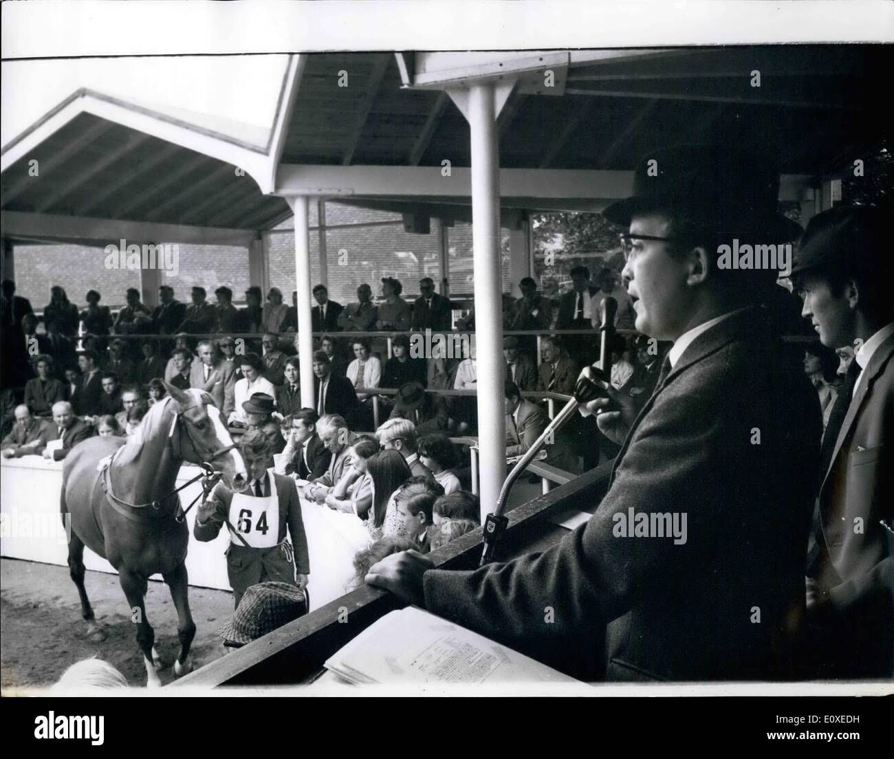 7. Juli 1966 - Anglo verkauft für 5000 Guineen: Anglo, Gewinner des diesjährigen Grand National, wurde für 5000 Guinness am Sadown Park Bloodstock Vertrieb gestern verkauft. Er wurde im Auftrag von London Geschäftsmann Sid Terry gekauft und wird in der Ausbildung mit Fred Winter an Lambourn zurück. Bild zeigt: Anglo in den Parade-Ring am gestrigen Bloodstock Vertrieb abgebildet. Stockfoto