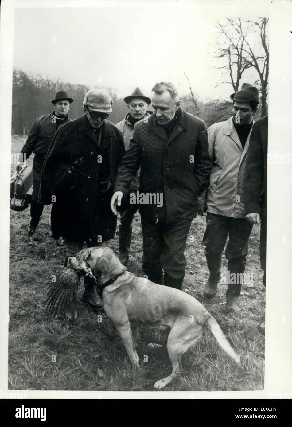 8. Dezember 1966 - besucht Kossygin Fasan Jagd in Rambouillet. Der sowjetische Ministerpräsident. Herr Kosygin, tragen ein Khaki shooting anzupassen und tragen eigene doppelläufigen Schrotflinte, Fasanjagd in den Wäldern in Rambouillet, Frankreich, heute ging. Foto zeigt Herr Alexei Kosygin, an einem der Hunde Retrieveing ein Fasan in Rambouillet heute aussieht. Stockfoto