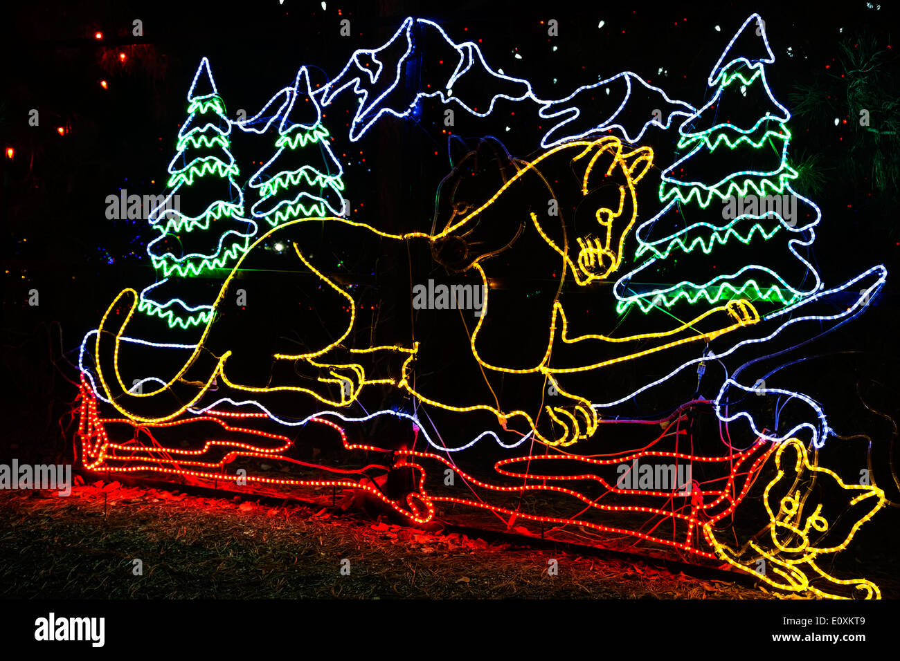 Weihnachtsbeleuchtung, geformt wie ein Cougar und Cub, Denver Zoo Lichter, Denver Zoo, Denver, Colorado USA Stockfoto