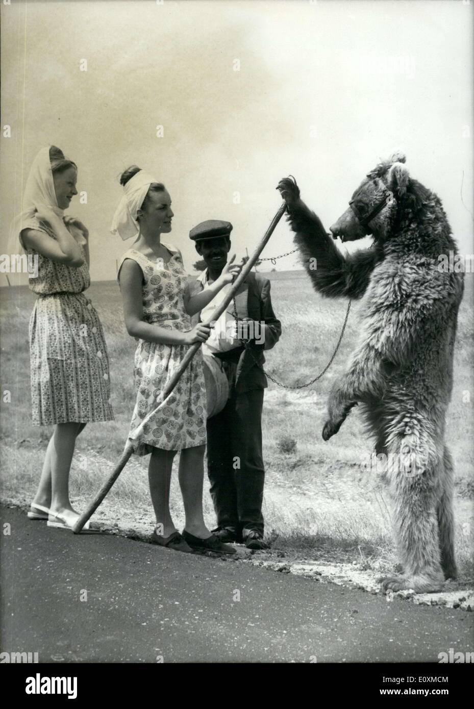 22. Mai 1967 - gehört dieser tanzenden Bär zu einer Zigeunerin in der Türkei. Wenn Touristen vorbei aufhören sie zu sehen und bezahlen 10 DM, dies zu tun. Stockfoto