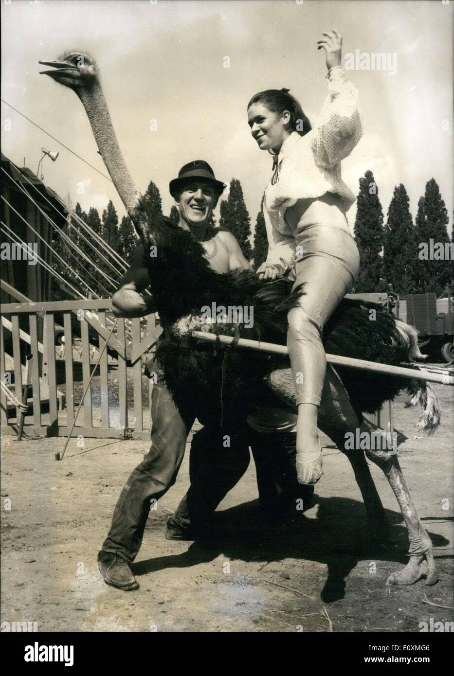 31. Mai 1967 - gewann schöne Engländerin Hilary Freeman hier der Strauß Rennen bei Circus Rudy Bros., die derzeit in Frankfurt am Main gastieren wird. Freeman selbst ist tatsächlich eine Ballerina. Stockfoto