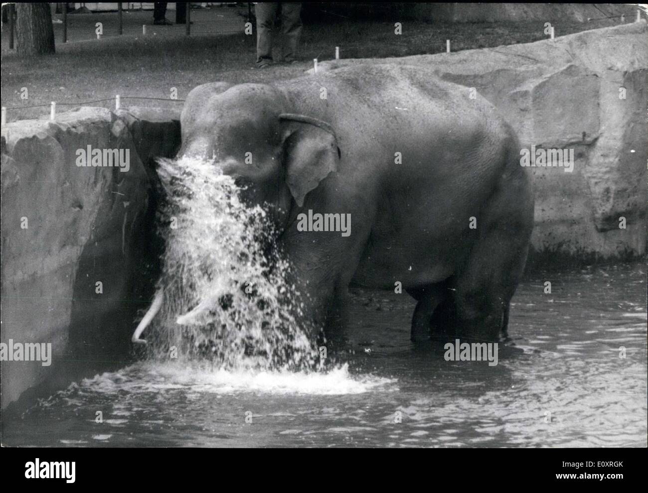 10. August 1967 - Elefant Babar von Vincennes Zoo genießt Bad Stockfoto