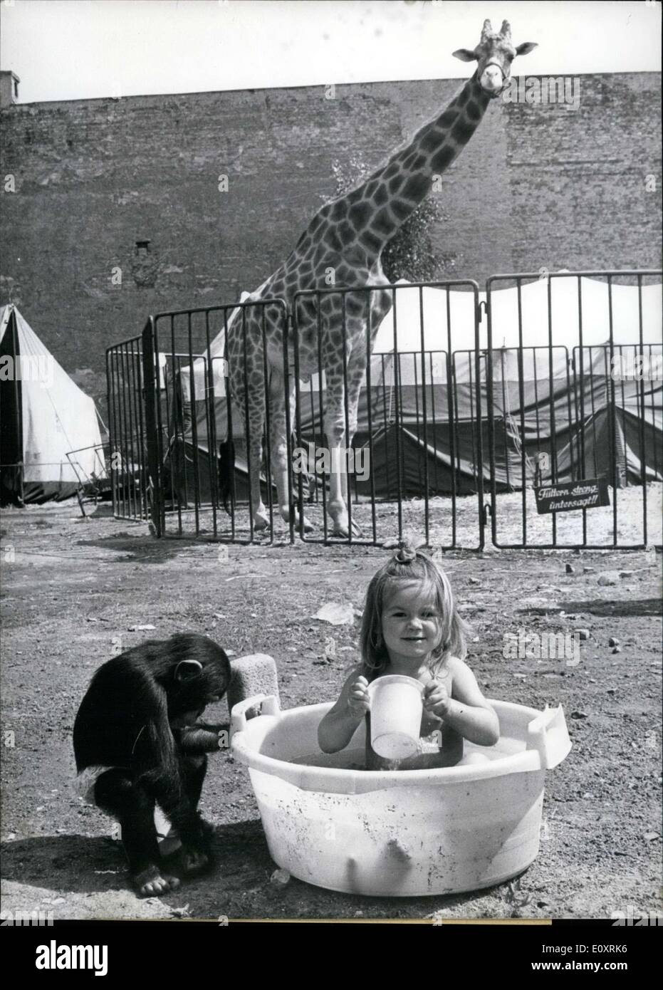 24. August 1967 - abgebildet in der Badewanne ist 2 1/2 Jahre alten Nadja von der Zirkus Busch, derzeit in Berlin und Schimpanse gastieren Stockfoto