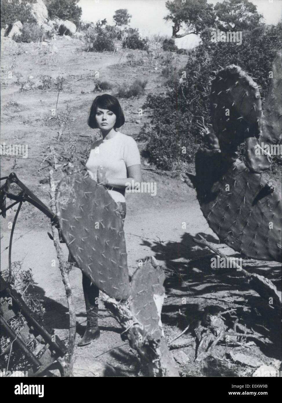 22. November 1967 - ist '' die Protagonisten '' der Titel des Films, die schönen Sterne Sylva Koscina und Pamela Tiffin in Sardinien spielen. Die Schauspielerinnen sehen müssen eine unangreifbare Bandit, aufgrund von ihnen fiel Liebe mit den Banditen. Foto zeigt eindrucksvolle Foto von Eilva Koscina in Sardinien. Stockfoto