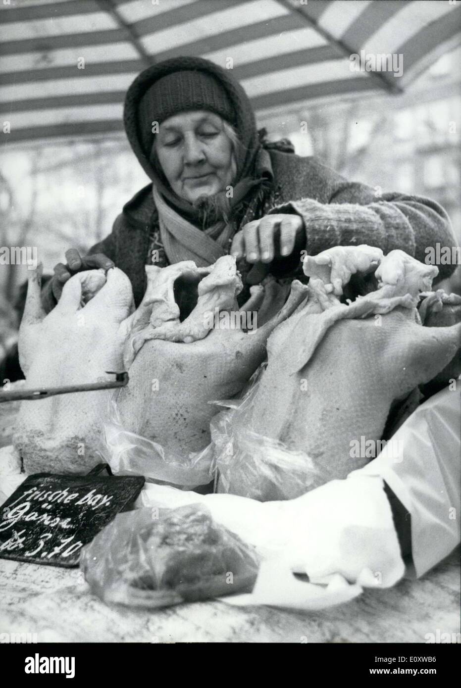 4. Dezember 1967 - machte der Preis für Weihnachten Gänse, schwebend zwischen 3,40 und 3,90 DM pro Pfund, für zunehmend erschwinglich es Stockfoto