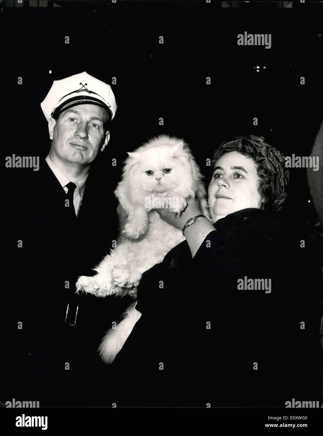 16. Dezember 1967 - The National cat Club Show in Olympia: Bild zeigt: '' Marcus'', eine weiße Perserkatze lohnt sich mehr als 2.000 ist in den Armen seines Besitzers, Fräulein Elspeth Sellar, betreibt ein 30.000 '' Hobbyzucht '' auf dem Bauernhof Selhurst, Bramley, Surrey, mit ihrer Freundin gesehen. Auf dem Bild ist auch Bill Walker, der Wachmann, dessen Aufgabe ist es, '' Marcus'' heute auf der Messe zu schützen. Stockfoto