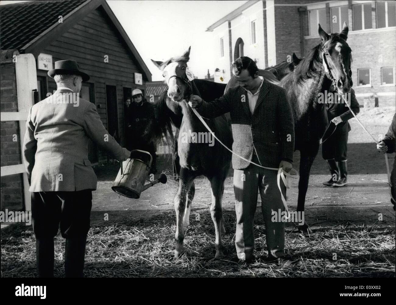 12. Dezember 1967 - bei Newrket: die jährliche Arbeitnehmer De Blendack heute. Bild zeigt: jede Vorsichtsmaßnahme gegen Füßen und Mund Krankheit wurde genommen - und hier, ein Beamter sprüht ein junges Pferd Füße mit Tanz von einem Wateringgen heute. Stockfoto 12. Dezember 1967 - bei Newrket: die jährliche Arbeitnehmer De Blendack heute. Bild zeigt: jede Vorsichtsmaßnahme gegen Füßen und Mund Krankheit wurde genommen - und hier, ein Beamter sprüht ein junges Pferd Füße mit Tanz von einem Wateringgen heute. Stockfoto