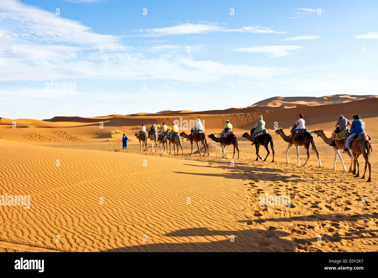 Kamel-Karawane durch die Sanddünen in der Sahara Wüste, Marokko. Stockfoto