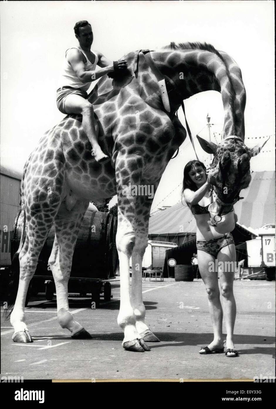 24. Juni 1968 - hier abgebildet ist '' Lucky.'' Glück ist die alleinige  Pferdesport Giraffe in der Welt. Auf Glück ist Toni Hochegger und seine  Frau B? Rbel ist am Boden. Die