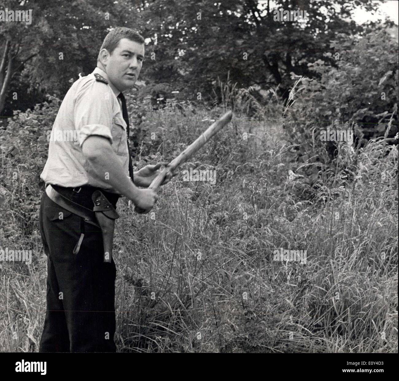 20. Juli 1968 - bewaffnete Polizei-Jagd für den Menschen: mehr als 100 Polizisten, viele von ihnen mit Revolver heute verstärkt die Jagd nach einem Mann, bewaffnet mit einem Schwan gewappnet zu sein glaubte-aus Schuss Pistole, in Wäldern in der Nähe von Wendover. Die Polizei suchen 15 Quadratmeilen Wald in der Nähe von das Haus von Mr. und Mrs Richard Levett, die über den Kopf in ihrem Haus in der Hale, in der Nähe von Wendover, gestern früh geprügelt wurden. Heute waren sie immer noch im Royal Buckinghamshire Krankenhaus, Aylesbury, wo ihr Zustand gilt als "Befriedigend" Stockfoto