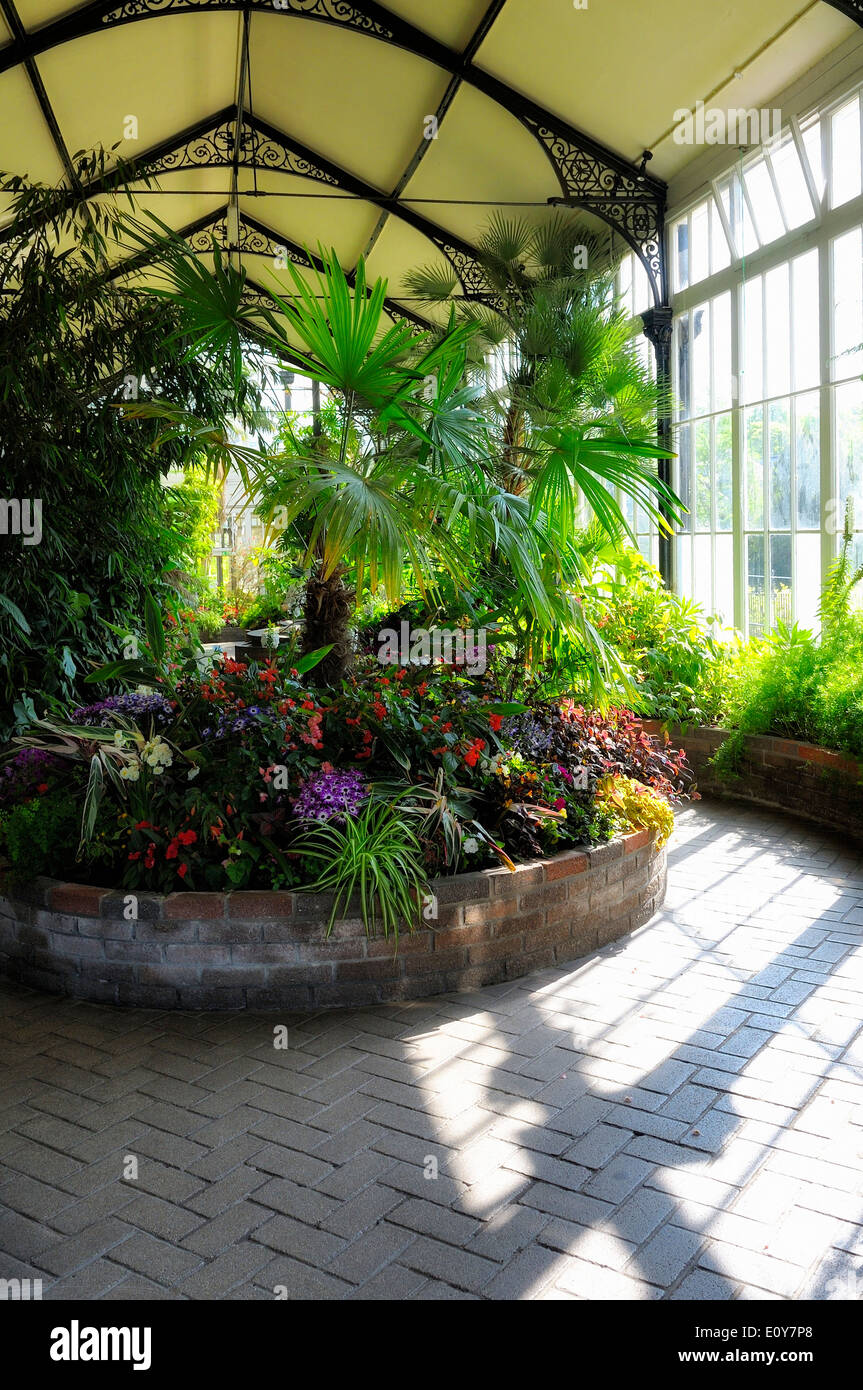 Buxton Pavilion Gewächshaus Derbyshire England uk Stockfoto