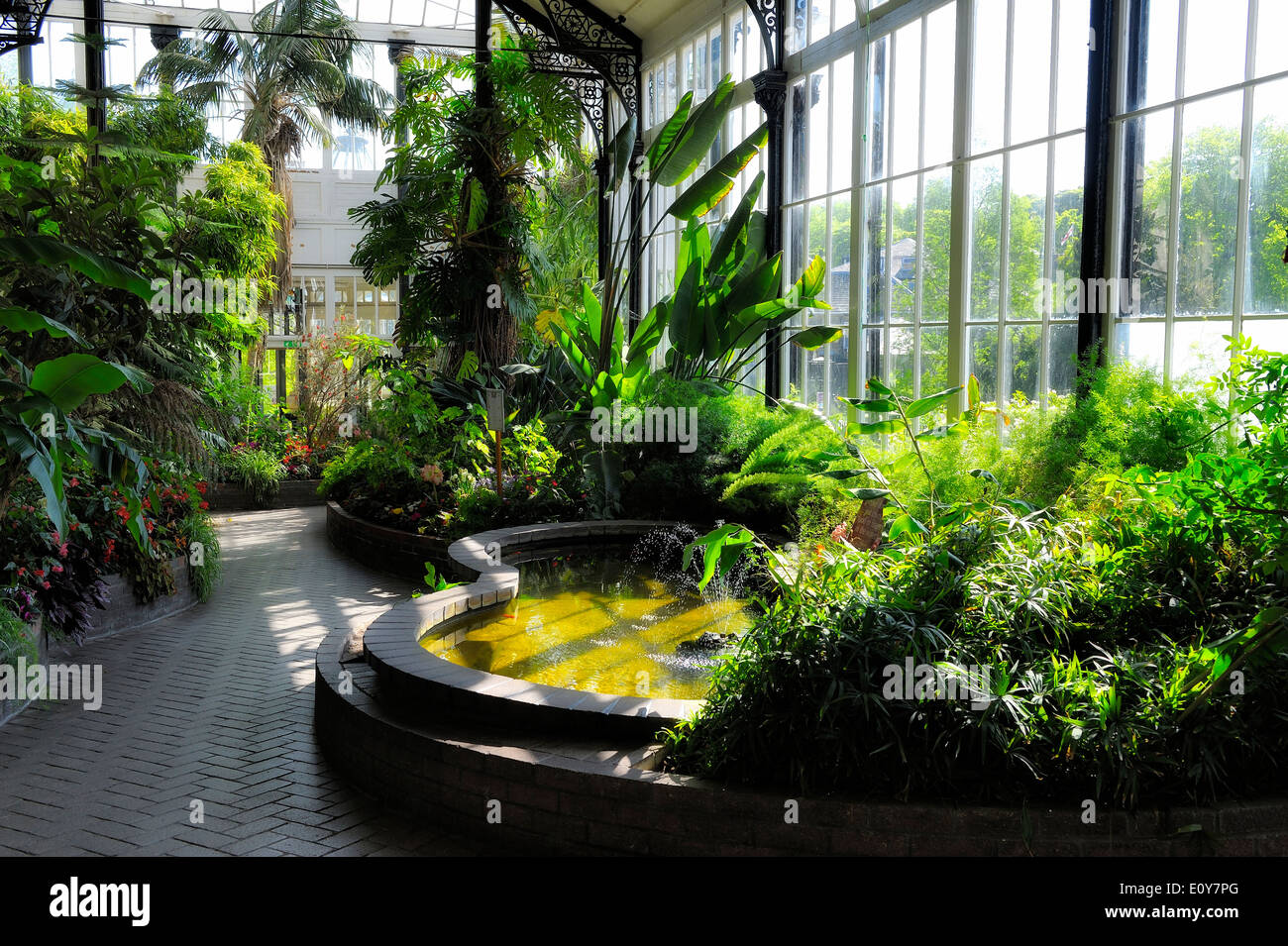 Buxton Pavilion Gewächshaus Derbyshire England uk Stockfoto
