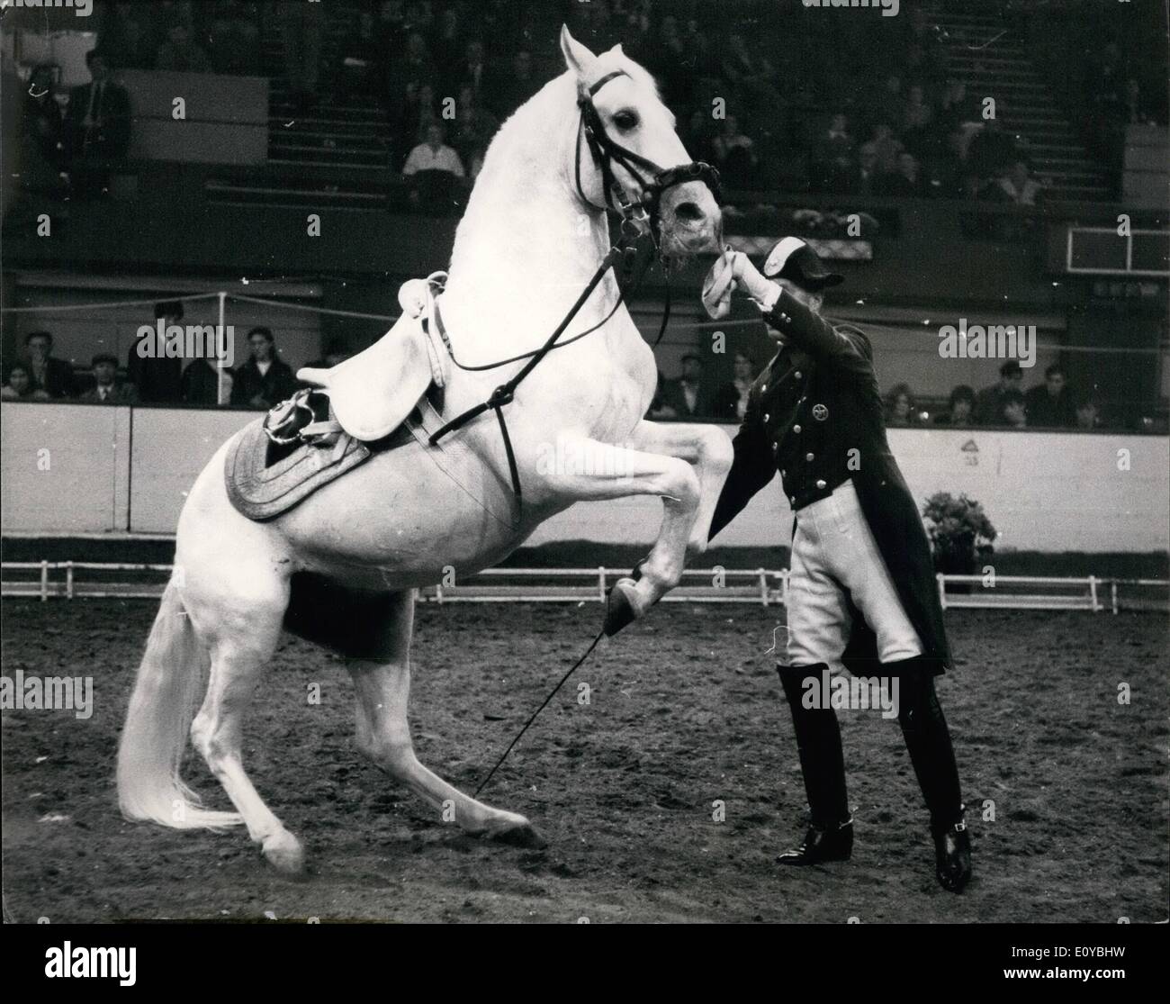 Reiterschule Stockfotos Und bilder Kaufen Alamy