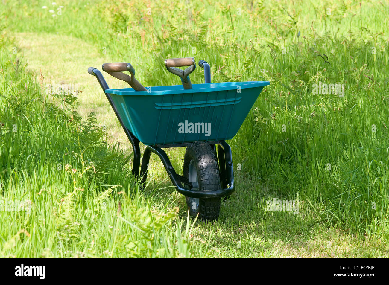 blauer Garten Schubkarre in langen grünen Rasen Stockfoto