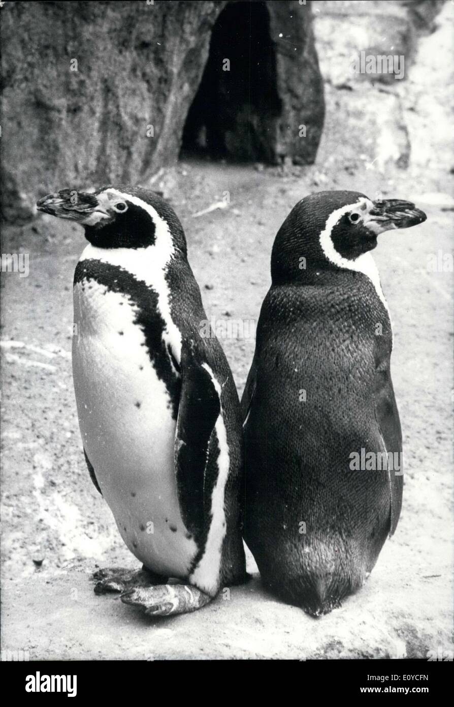 18. August 1969 - hier abgebildet sind, '' Anatol'' und '' Susi'', sie waren zwei Pinguine, die im Berliner Zoo lebten. Es scheint, dass Anatol(left) nichts hat zu verbergen, während Susi(right) ziemlich verdächtig ist! Die beiden sind ein paar. Es ist offensichtlich, dass Gegensätze ziehen sich an! Stockfoto