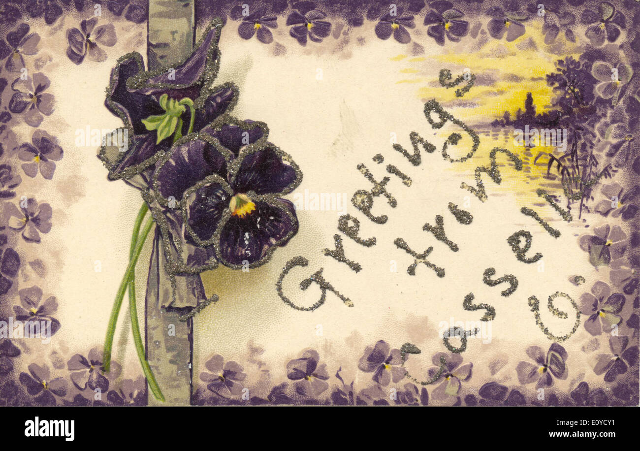 Diese Vintage-Postkarte aus Cassella, Ohio, zeigt ein malerisches Bild mit einer wunderschönen Blumenausstellung, einschließlich Stiefmütterchen. Als Teil der Postkartenkollektion von Bowden spiegelt sie den Charme der Kleinstadt Ohio mit ihrer lebendigen Flora wider. Stockfoto