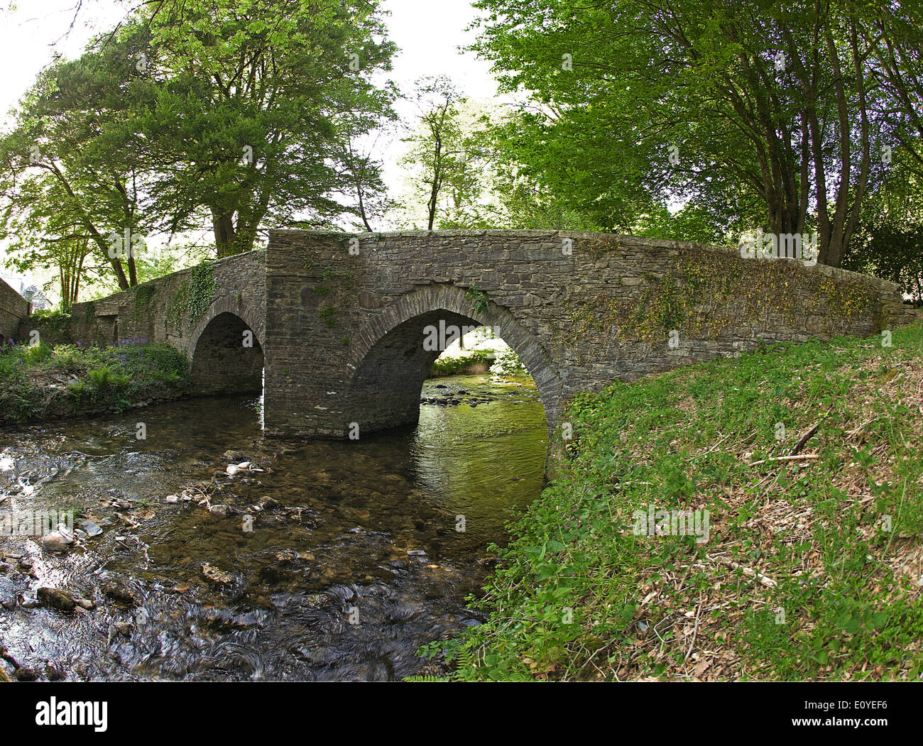 Die alten mittelalterlichen Steinbrücke, Treverbyn Brücke, gebaut circa 1412, über den Fluss Fowey, in der Nähe von Liskeard, Cornwall, UK. Stockfoto